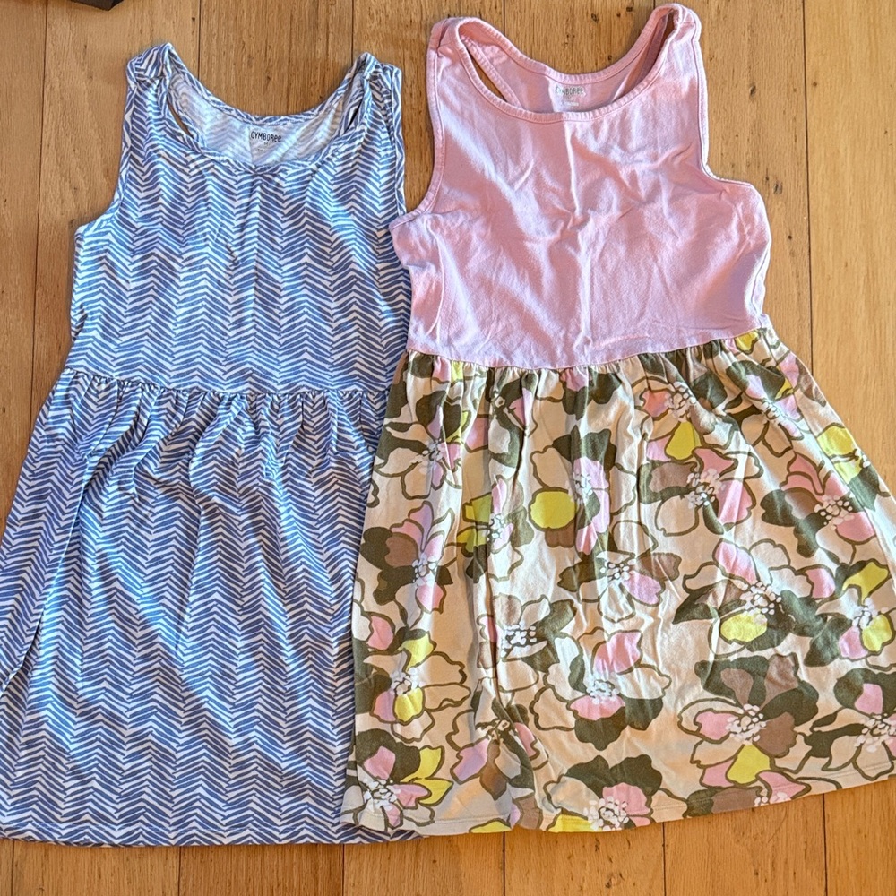 Gymboree Pink Floral and Blue Chevron Dresses Loy